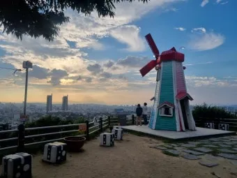5월 대전 꼭 가볼 만한 여행지 화려한 장미꽃으로 물든 한밭수목원_12