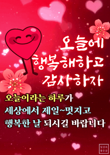 오늘에 감사하고 행복해지는 좋은 하루 인사말 이미지