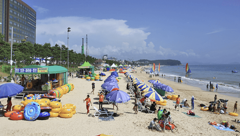 해수욕장 개장일정