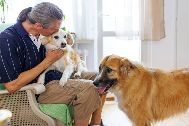 주인품에 안겨있는 흰색 노령견과 옆에서있는 연한갈색 노령견