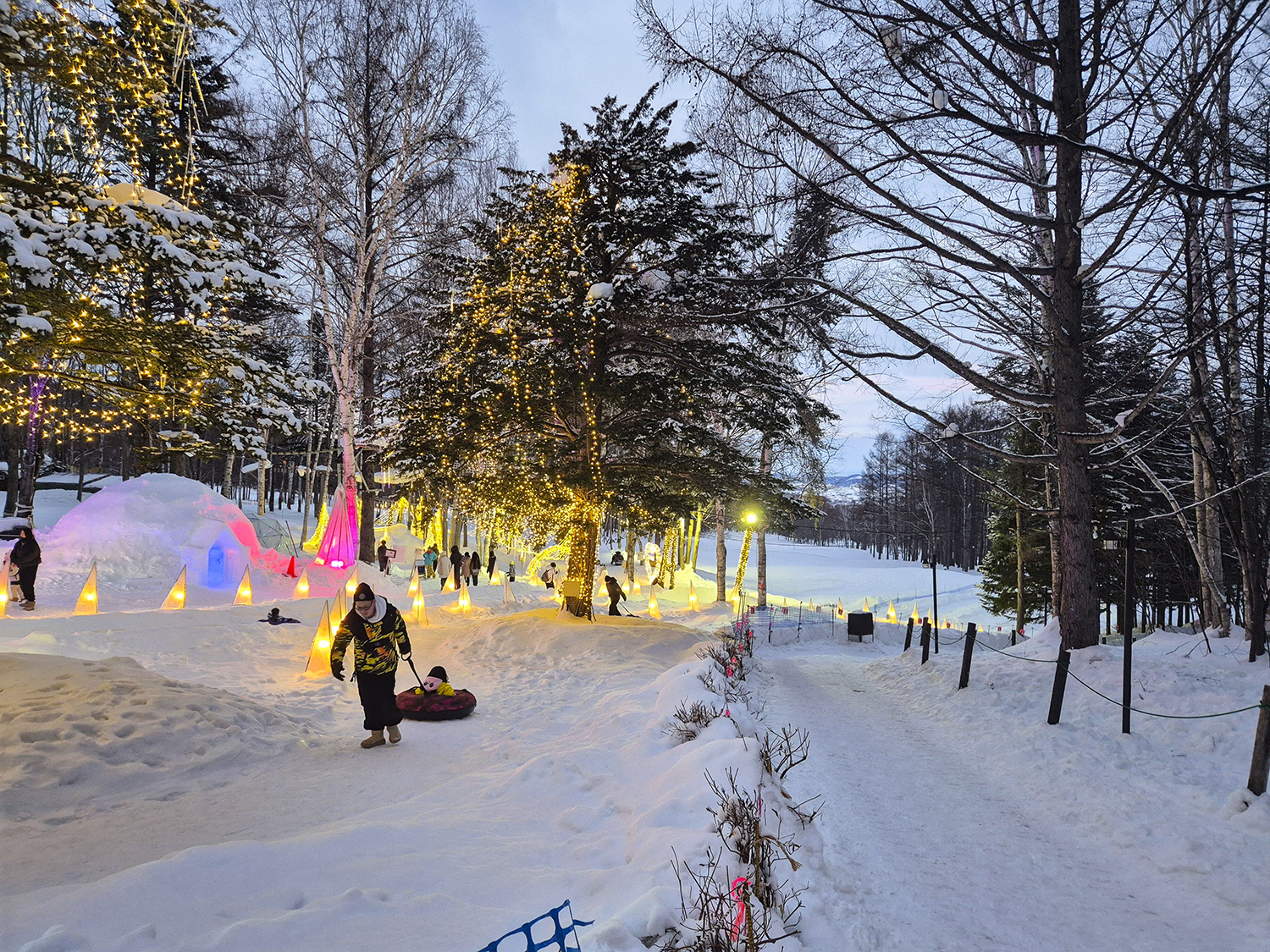 닝구르테라스 액티비니 중 하나&amp;#44; 썰매 4