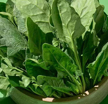 당뇨에-좋은-음식-건강