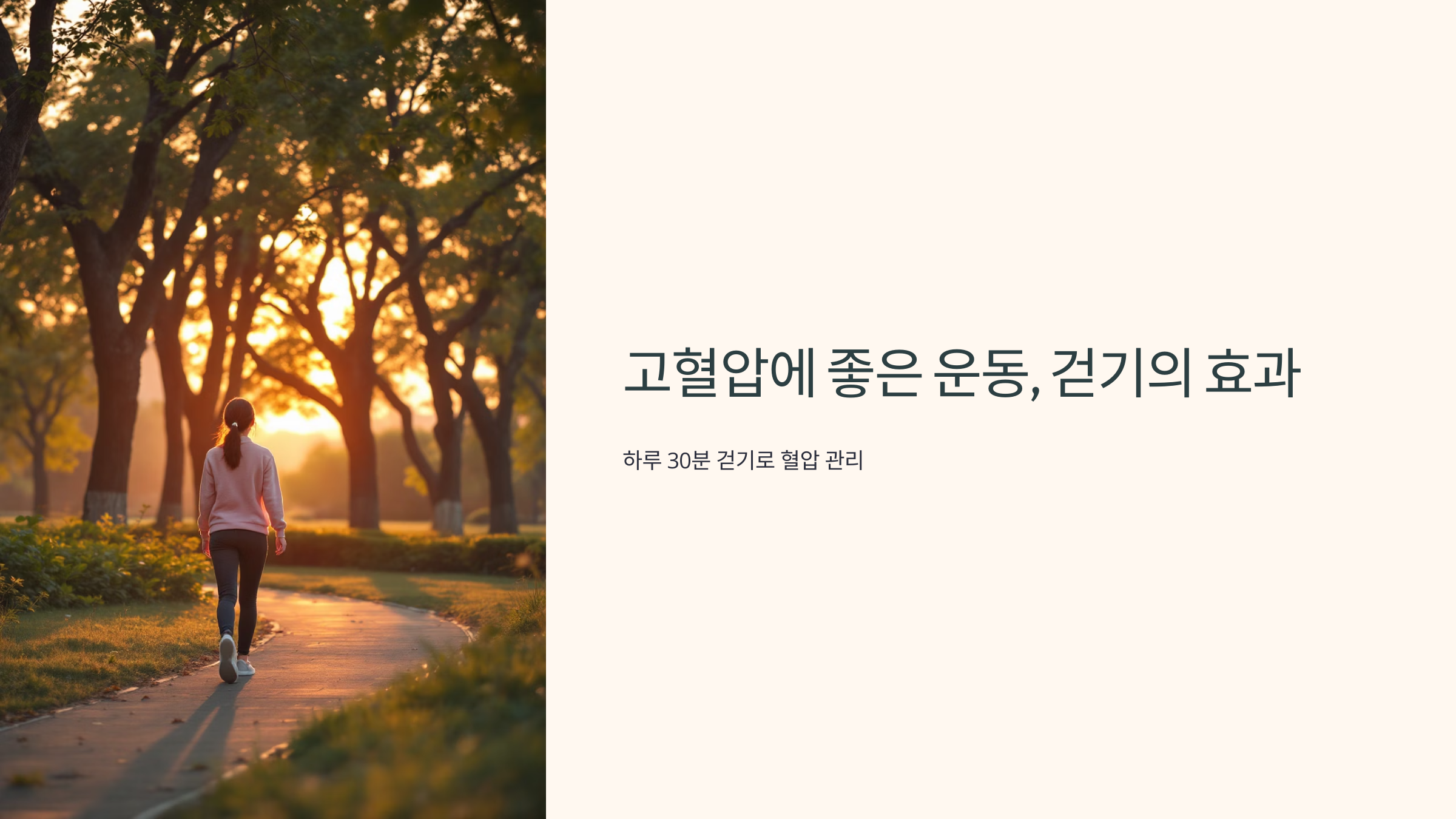 고혈압에 좋은 운동, 걷기의 효과