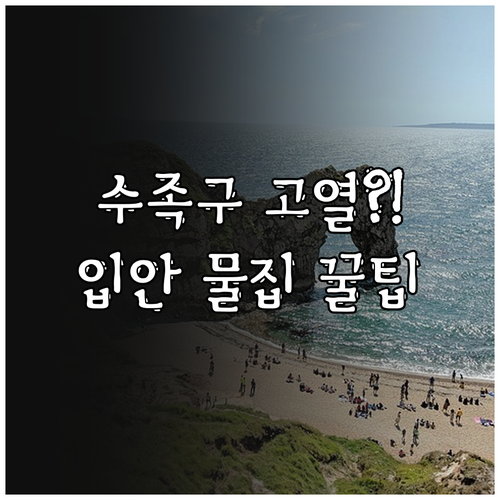 아이 수족구 입안 물집과 고열 대처 ..