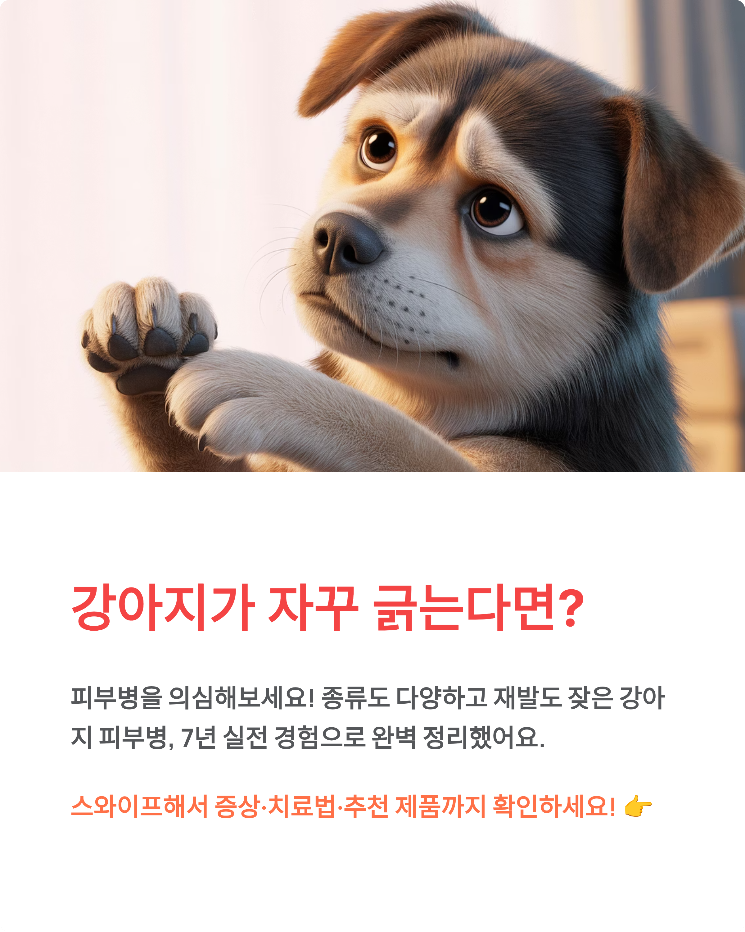 강아지 피부병 🐕 종류·증상·치료법·샴푸까지 완벽 정리!