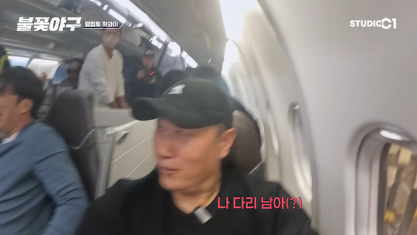 불꽃야구