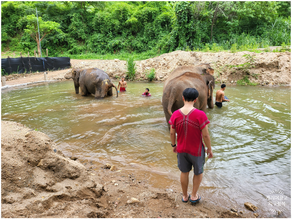 치앙마이 코끼리 보호구역