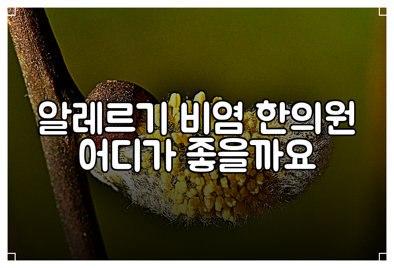 알레르기 비염 한의원 어디가 좋을까요