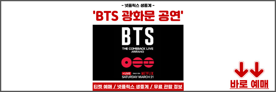 BTS 광화문 공연