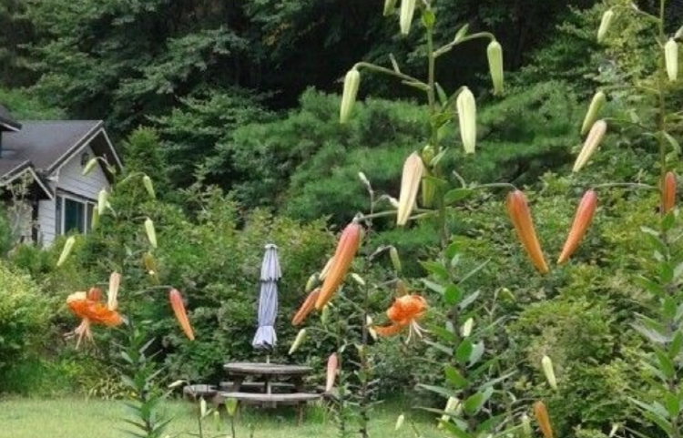 곤지암 반디숲