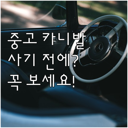 카니발 중고차 구매 시 반드시 확인해..