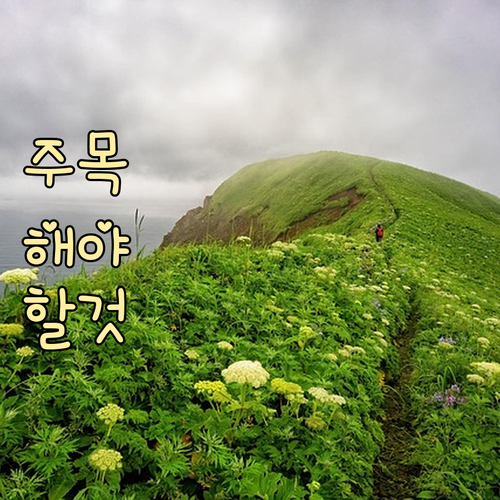 과태료 NO! 아현동 일반·음식물 쓰..