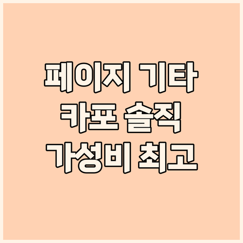 페이지 기타 카포 사용자 솔직 후기 ..