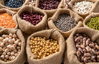 치질에 좋은 음식