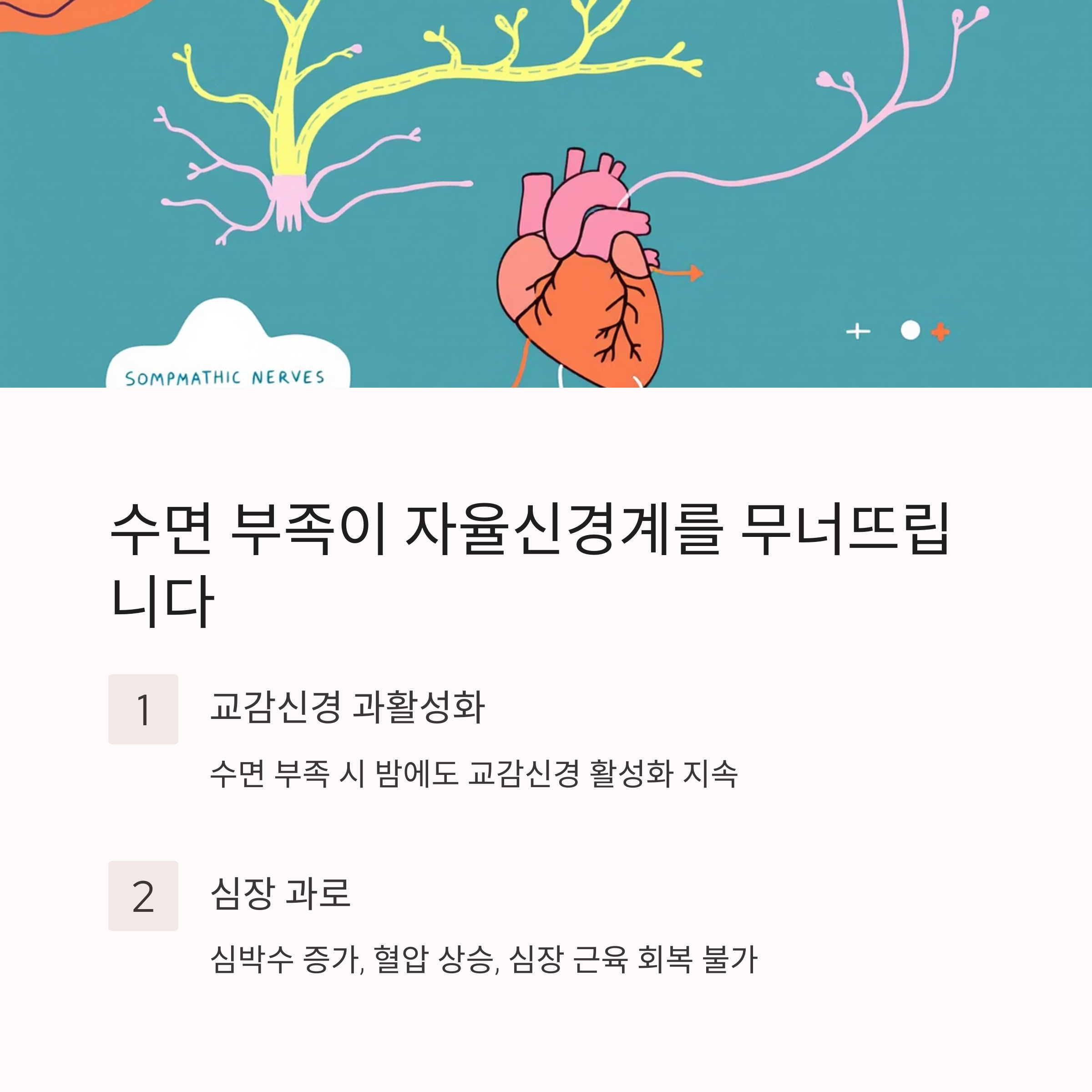 수면 부족은 자율신경계를 무너뜨립니다 관련 사진