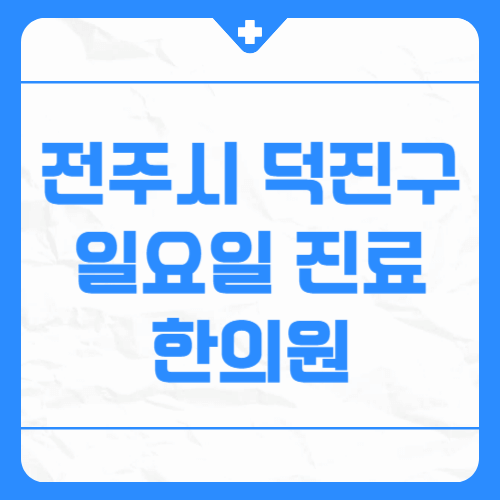 전주시 덕진구 일요일 진료 한의원