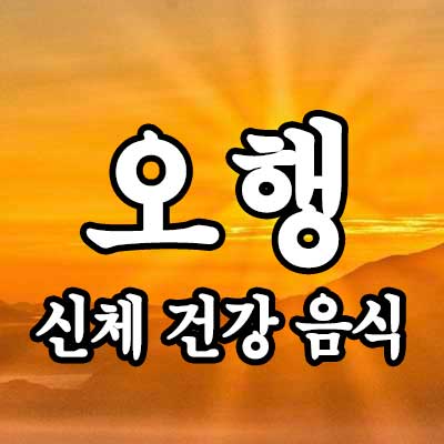 오행별 신체 건강 음식 썸네일
