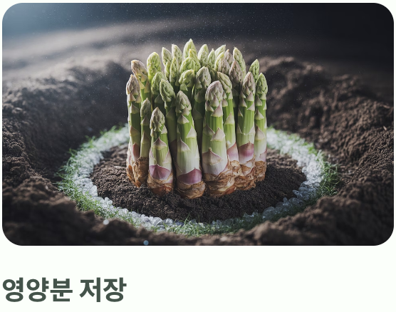봄 심기&amp;#44; 성공으로 가는 가장 확실한 길