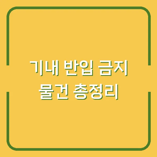 기내 반입 금지 물건 총정리