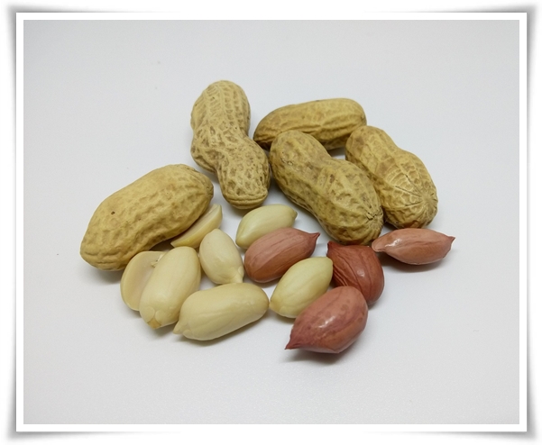 &quot;9월, 땅콩 수확 시작하세요!&quot; 수확 시기/수확/건조/활용법/건강 상 이점