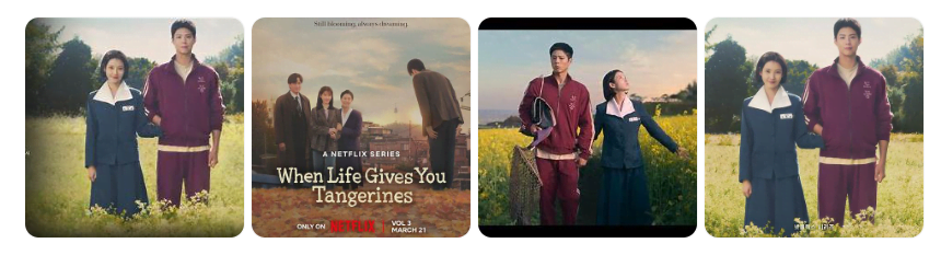 넷플릭스 '폭싹 속았수다' 총 16부작 줄거리 총정리! 제주 배경 감성 드라마의 모든 것