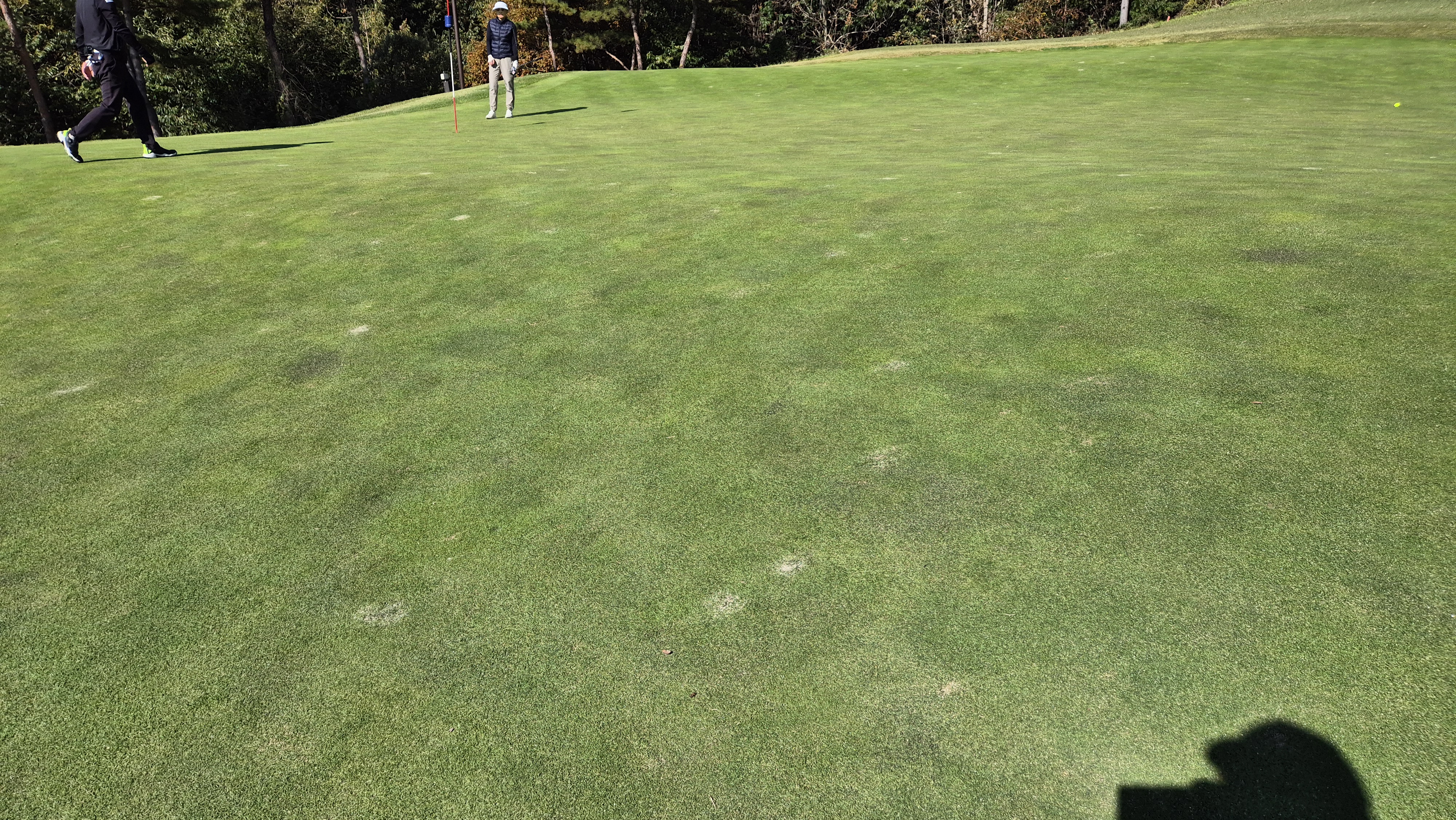 동촌gc 그린빠르기 및 난이도