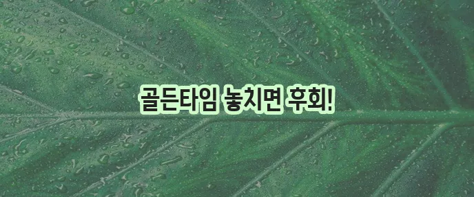 돌발성 난청 원인과 치료기간 핵심 정리했습니다!