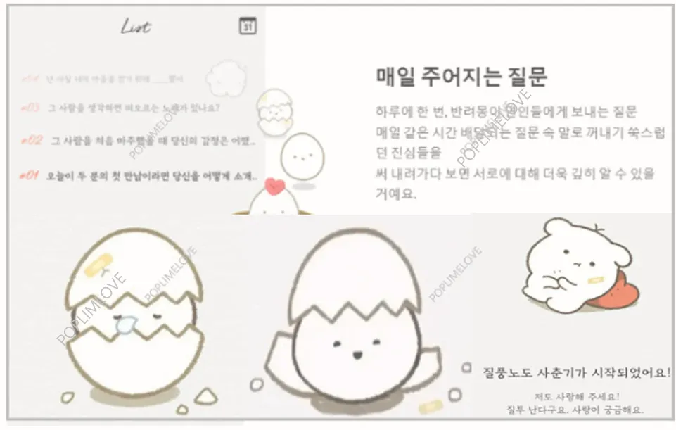 반려몽 성장 단계
