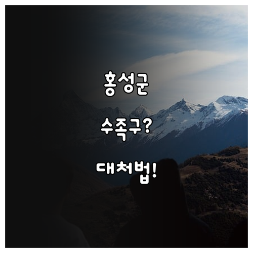 홍성군 수족구 증상별 대처 및 병원 ..