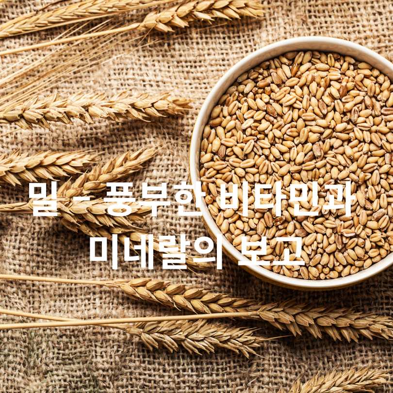 탈모에 좋은 음식 총정리!