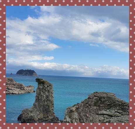 군산신시도자연휴양림숲나들이e