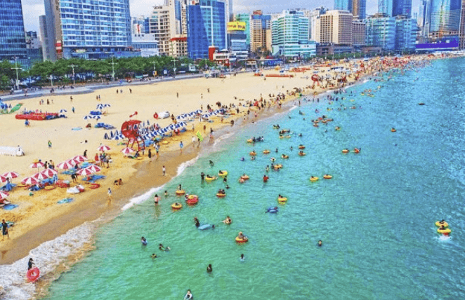 해수욕장 개장일정