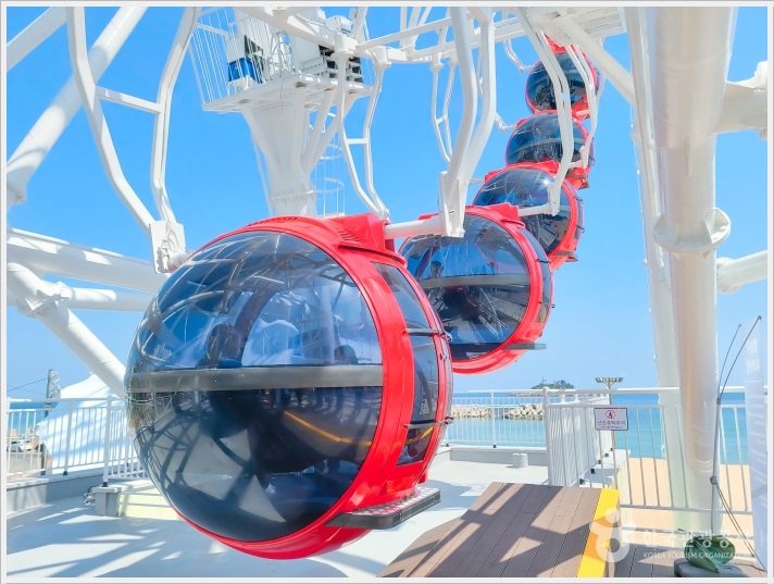 속초해수욕장 대관람차 개장