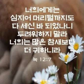 매일성경묵상(누가복음 12장 13-34절) 누가 네 인생의 주인이냐?_11