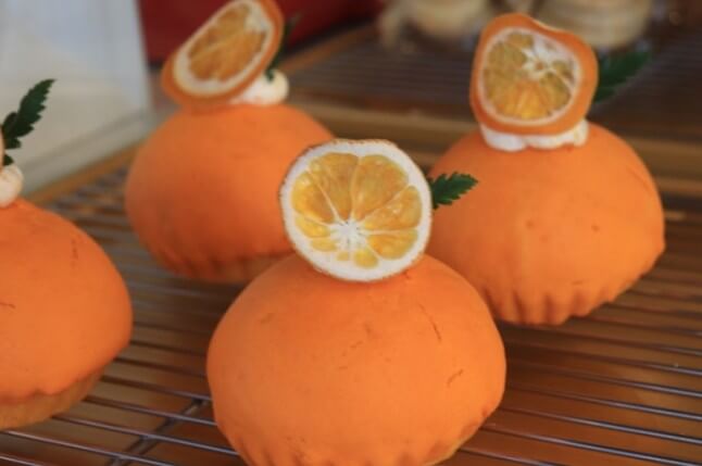 2025 제주도 웨이뷰 메밀꽃밭 축제&amp;#44; 웨이뷰에서 사랑하는 사람들과 행복한 시간을 보내세요!