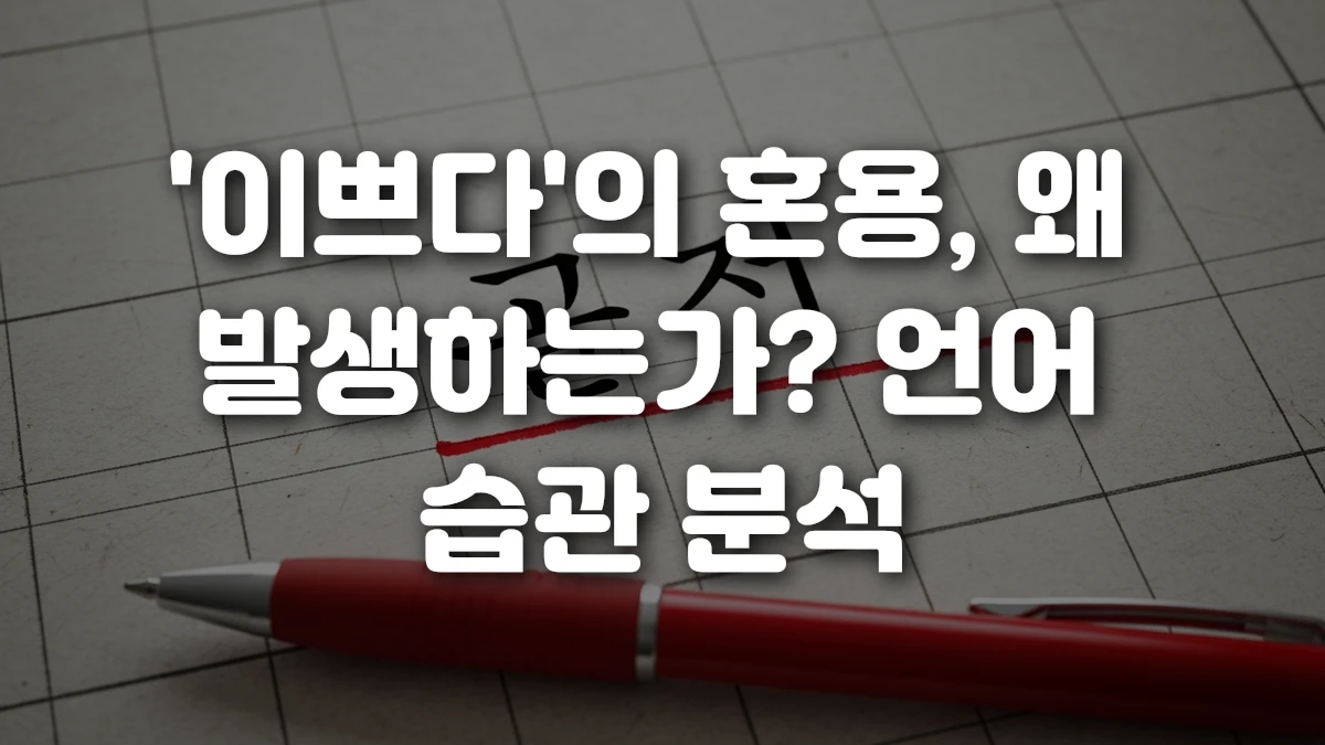 이쁘다 의 혼용 왜 발생하는가 언어 습관 분석