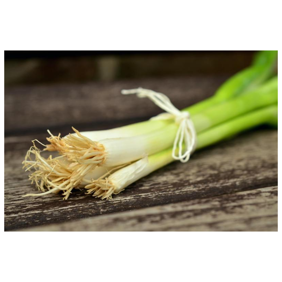 우엉차와 관련된 사진입니다.