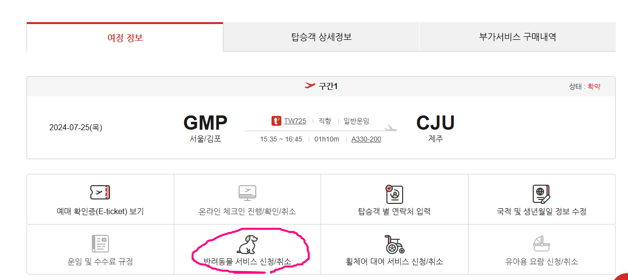 제주도-강아지-비행기