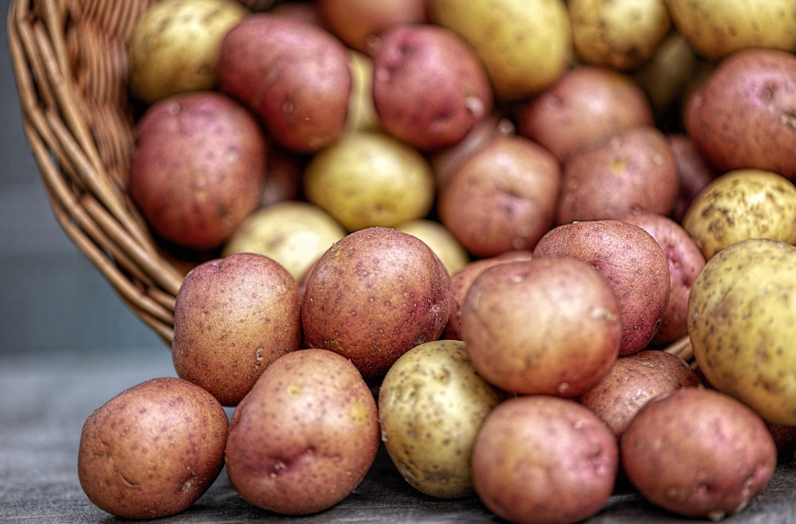 유럽 왕실에서 금지된 음식과 독살 사건