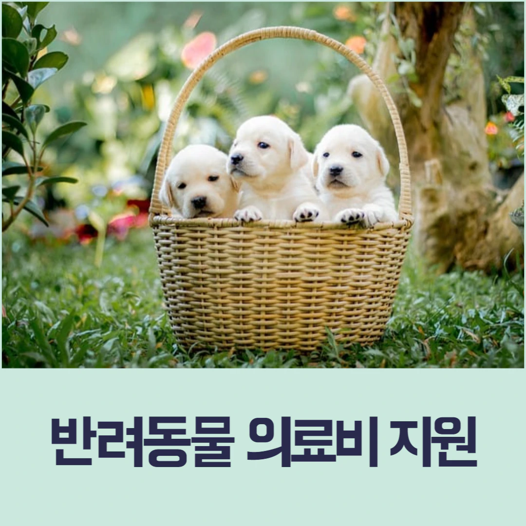 경기도 반려동물 의료비 지원