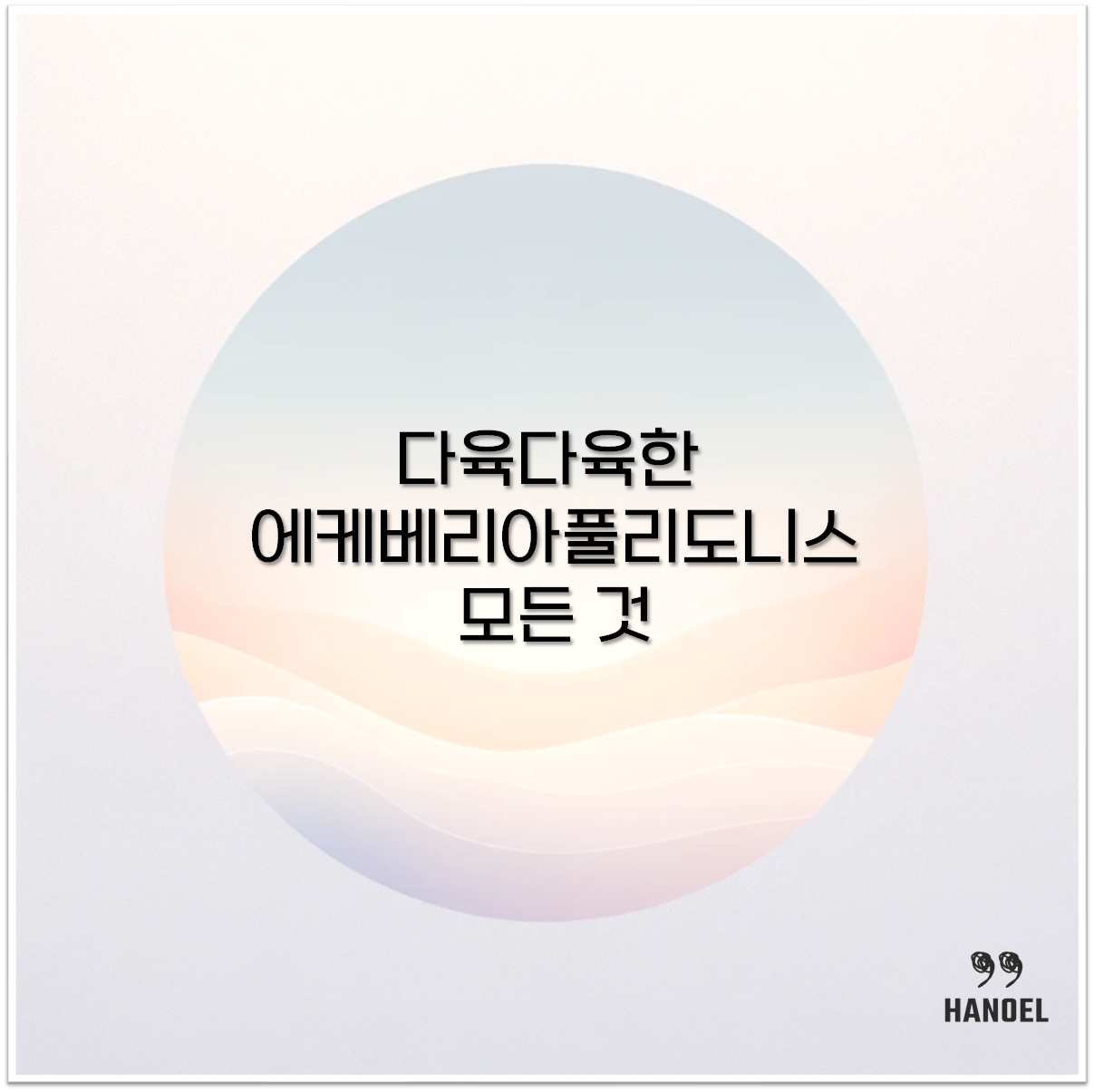 에케베리아풀리도니스