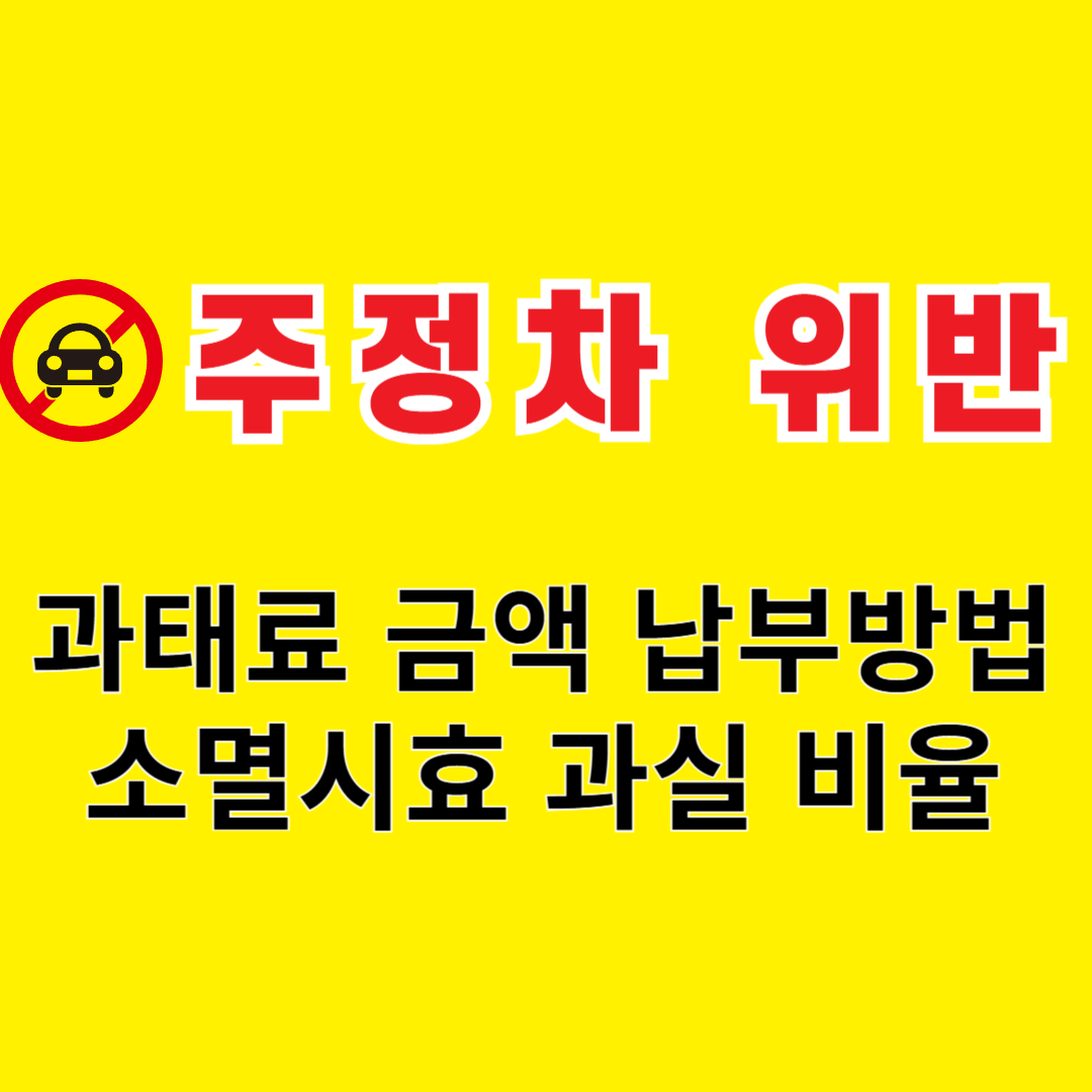 주정차 위반 과태료 금액 관련 썸네일