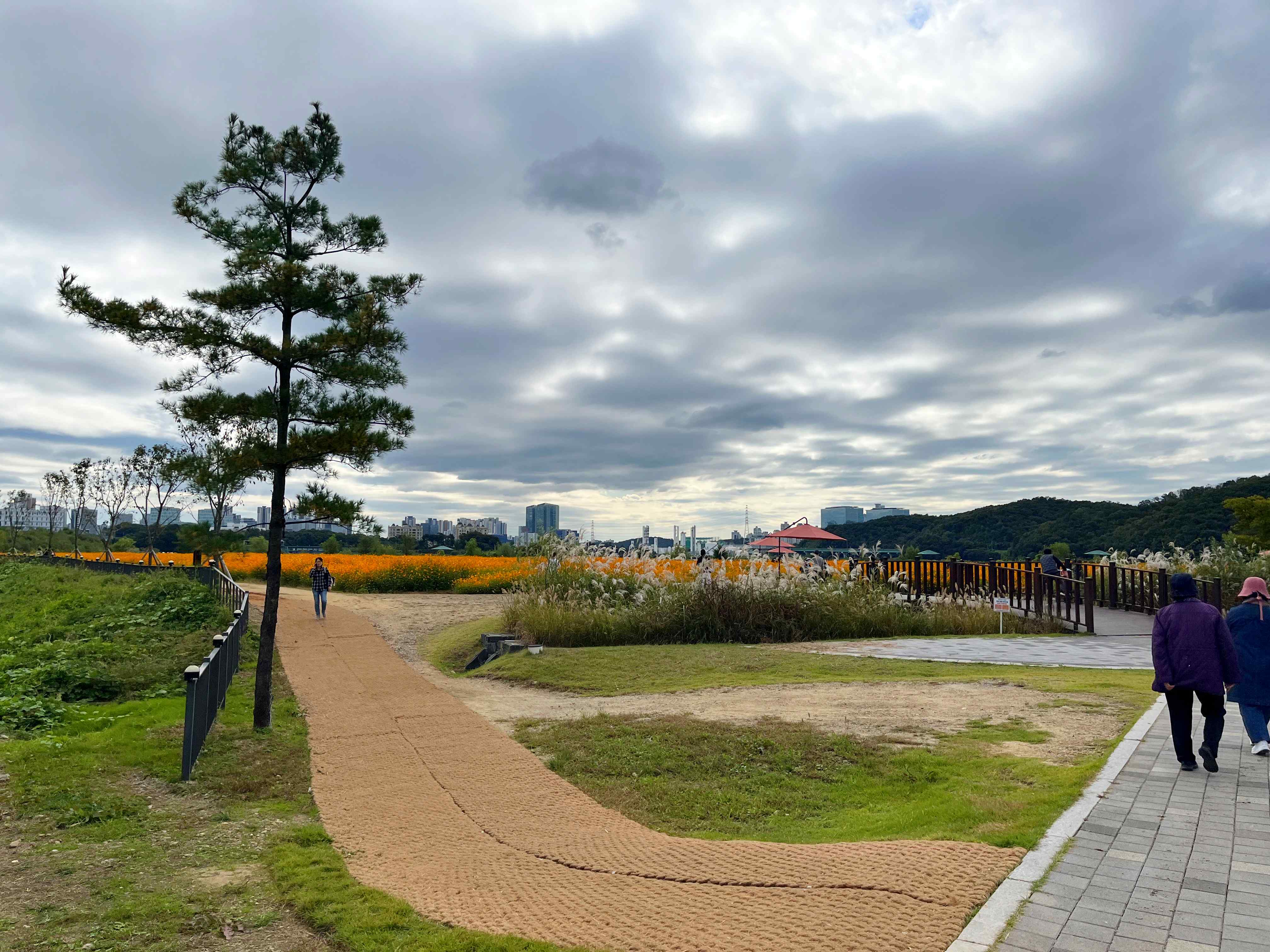 용인 기흥 호수공원