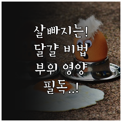체중 감량 돕는 달걀 섭취법과 부위별..