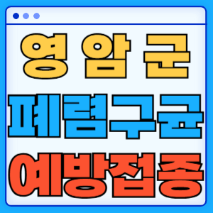 전라남도 영암군 폐렴구균 백신 무료 예방접종 비용지원 가격 신청방법 대상자 간격 13가 15가 20가 23가