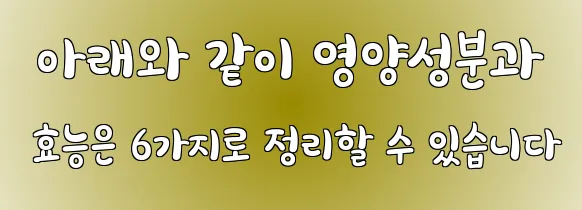  아래와 같이 영양성분과 효능은 6가지로 정리할 수 있습니다