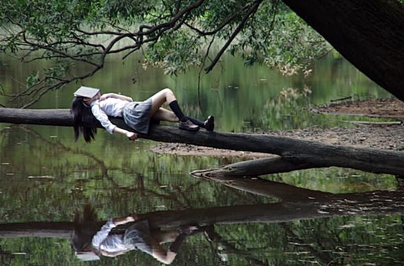 호수의-나무위에서-잠을-자는-모습