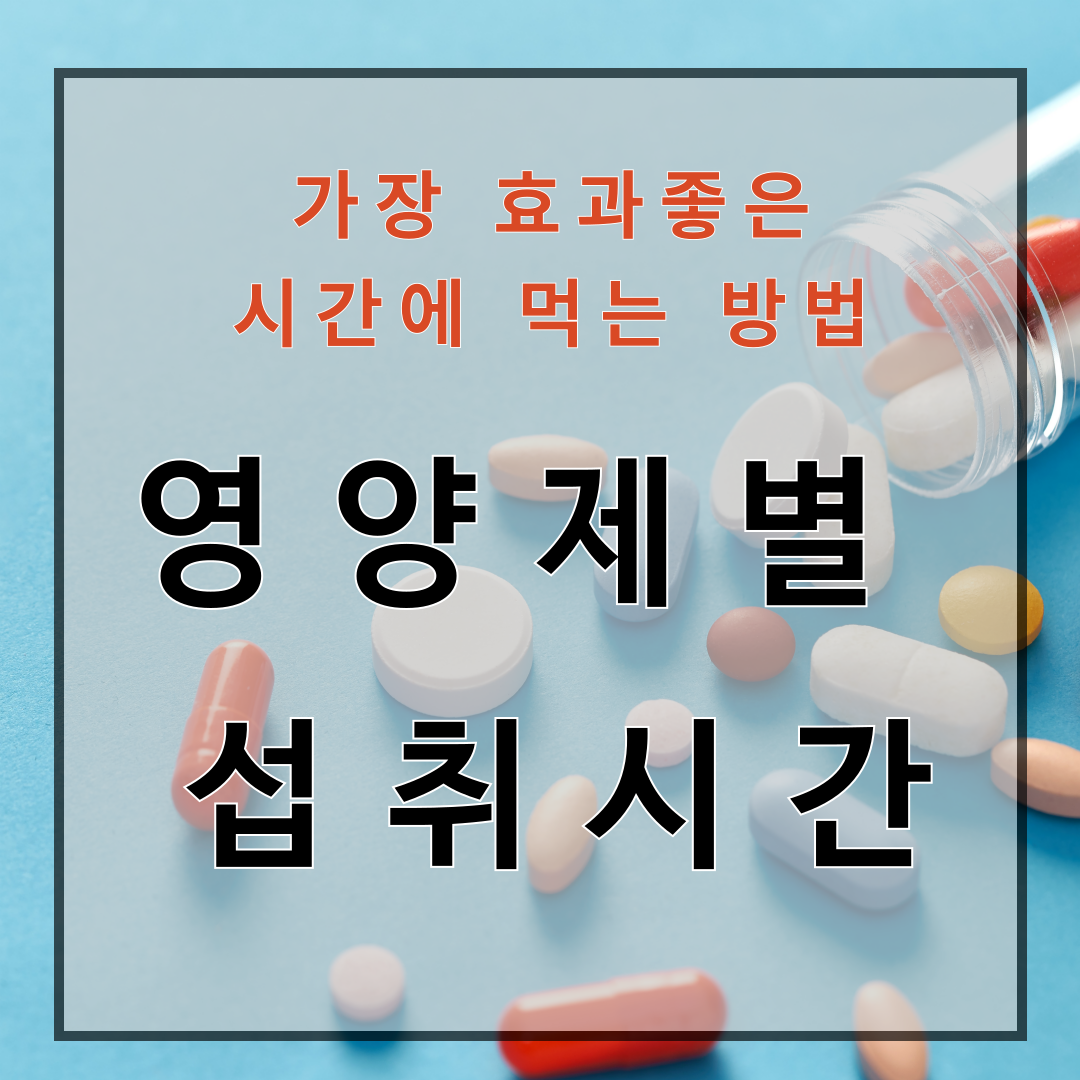 영양제 섭취시간
