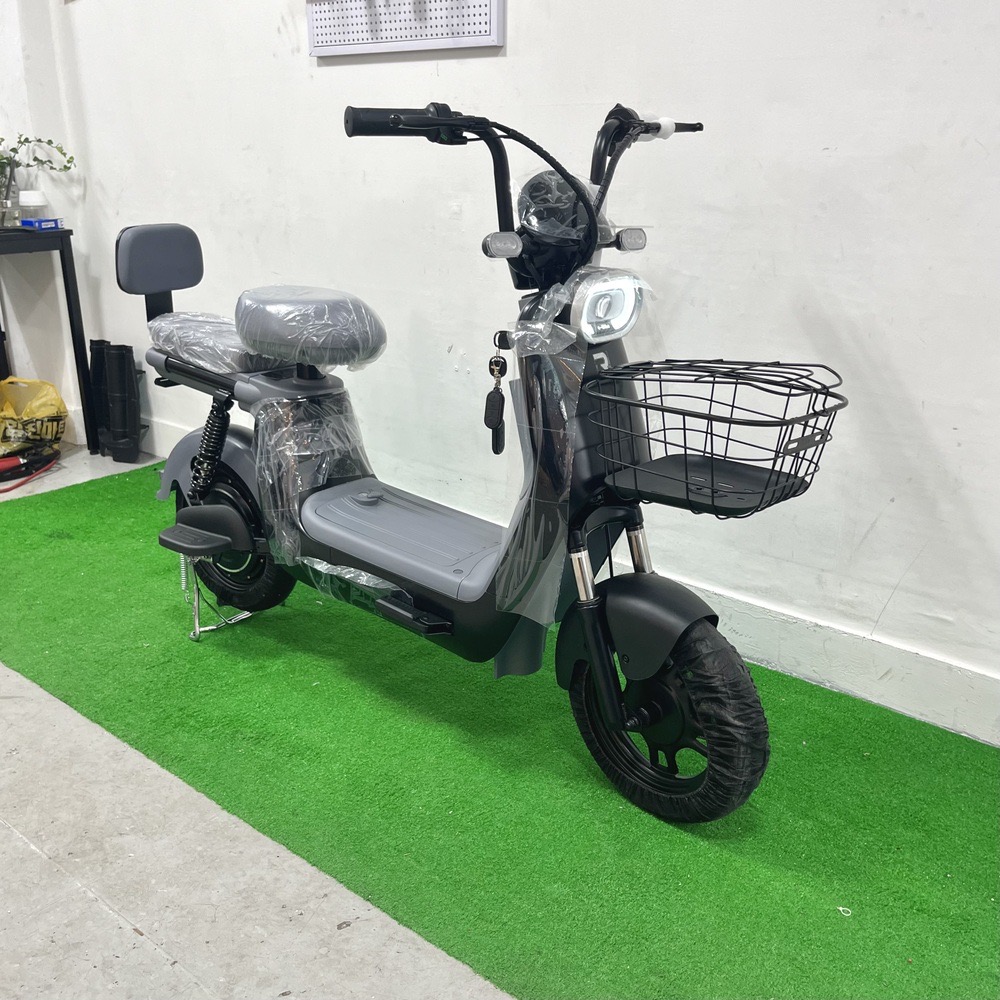 수원 전동스쿠터 매장 - 레이윙 디스커버리 프레시 S10