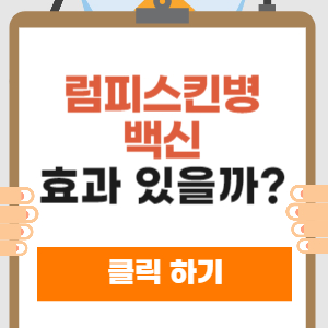 럼피스킨병 백신